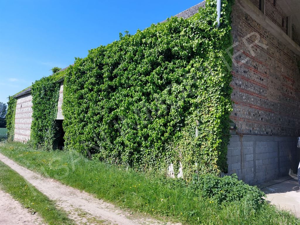 bâtisse à rénover 1 pièce en vente sur MONTIVILLIERS (76290)