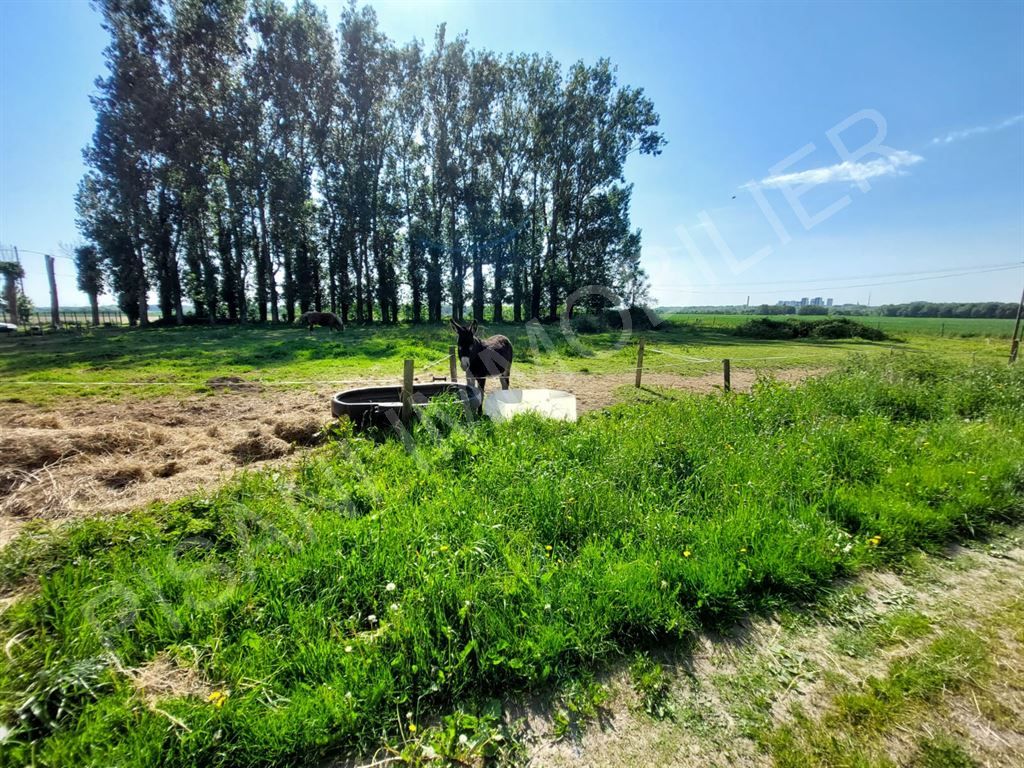 bâtisse à rénover 1 pièce en vente sur MONTIVILLIERS (76290)