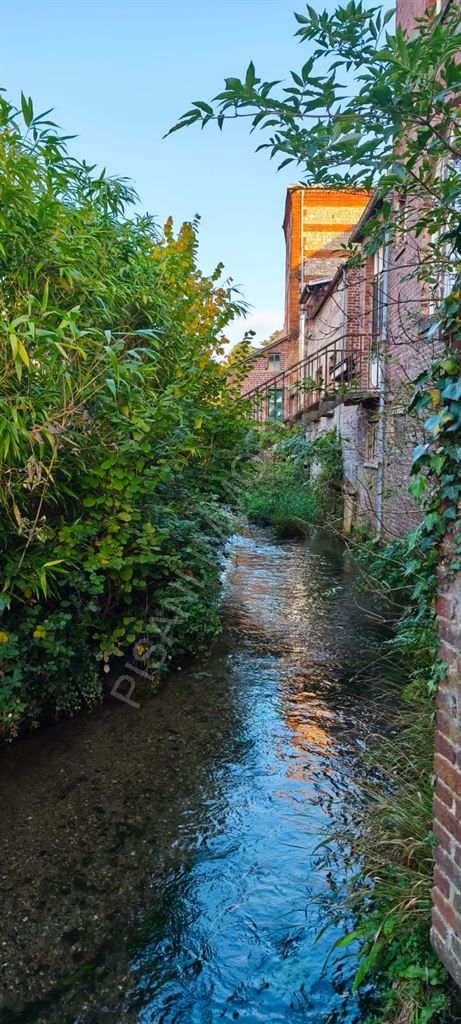 maison 4 pièces en vente sur LILLEBONNE (76170)