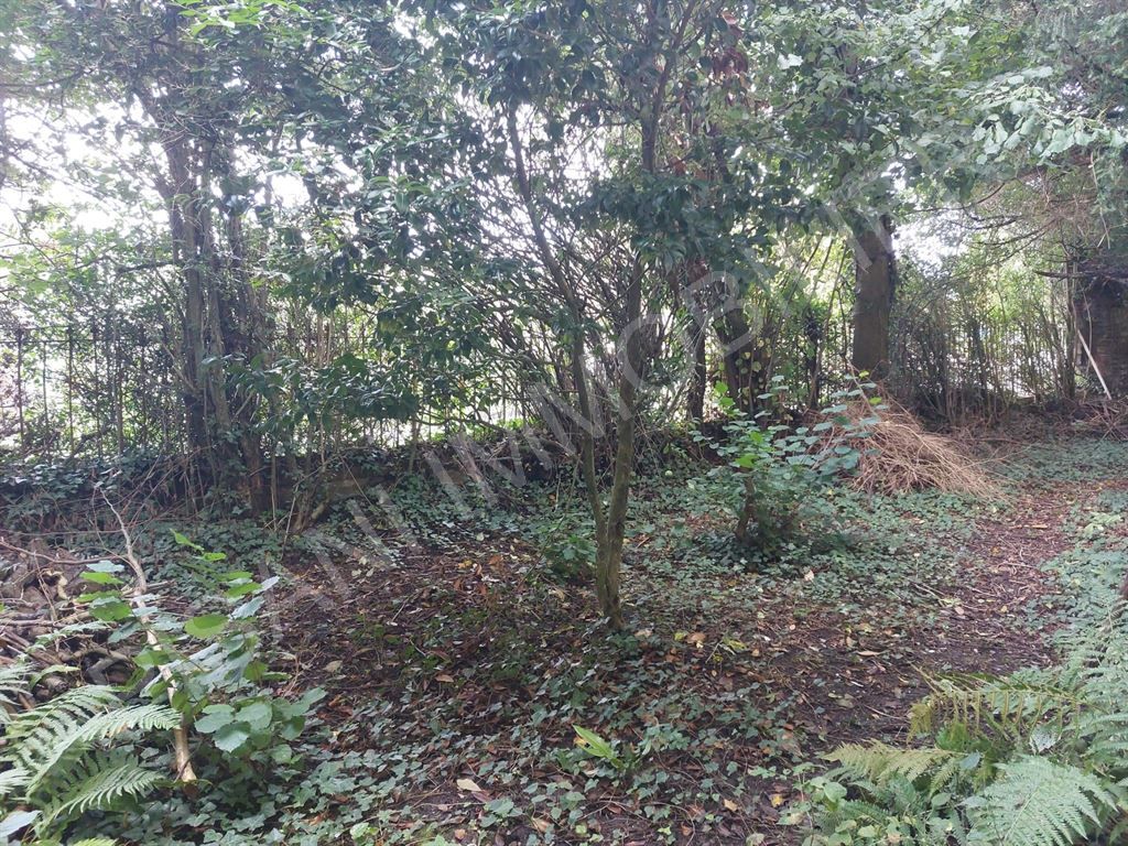 maison 8 pièces en vente sur LILLEBONNE (76170)