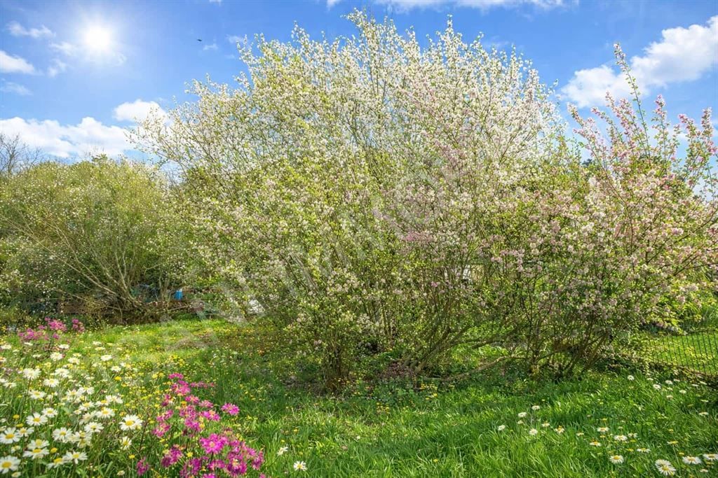 terrain non constructible en vente sur ST LEONARD (76400)