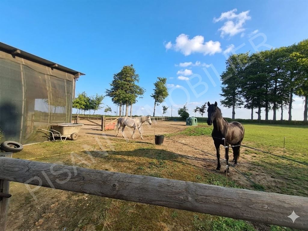maison 7 pièces en vente sur TOCQUEVILLE LES MURS (76110)